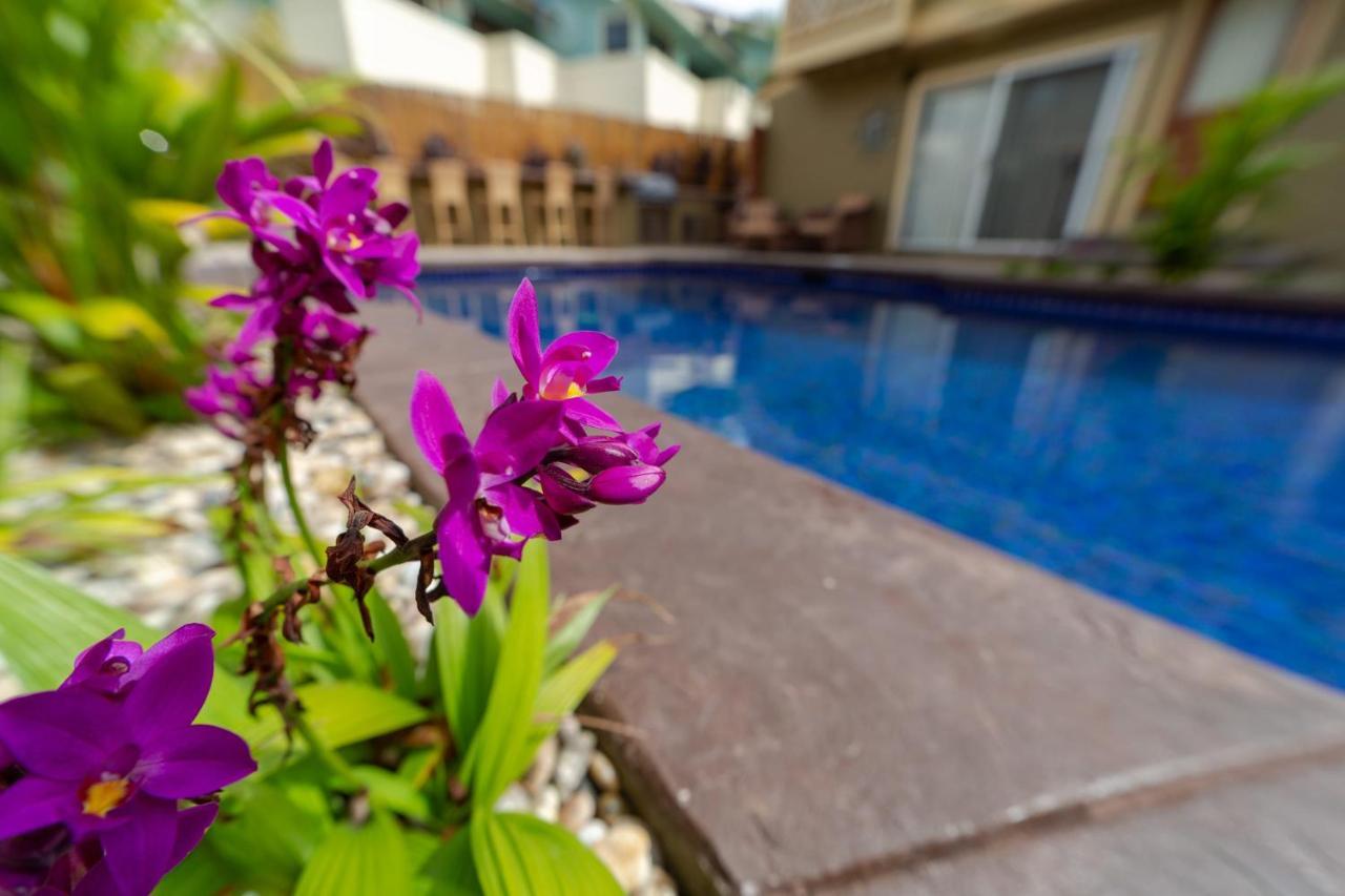 Studio With Mini Kitchen, Pool And Bbq, Pre-Renovation Summer Sale 키헤이 외부 사진